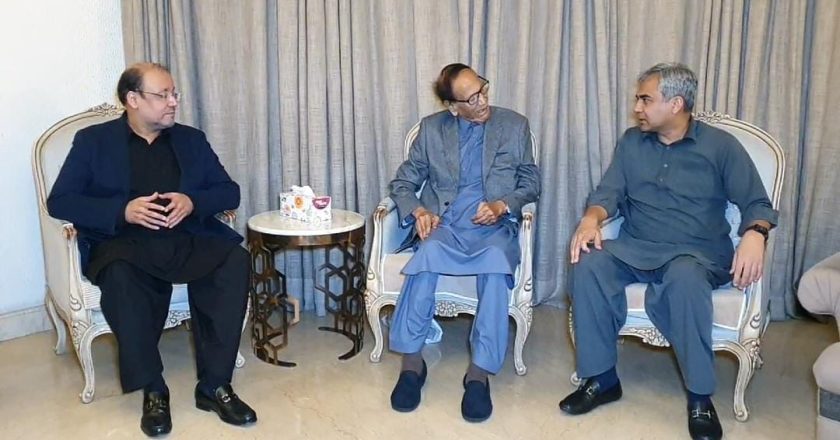 Federal Interior Minister Mohsin Naqvi meets Chaudhary Shujaat Hussain