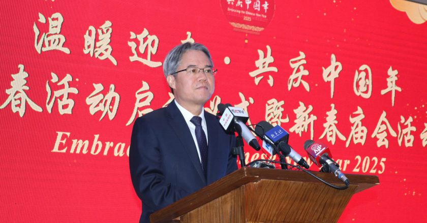 Embracing the Chinese New Year 2025