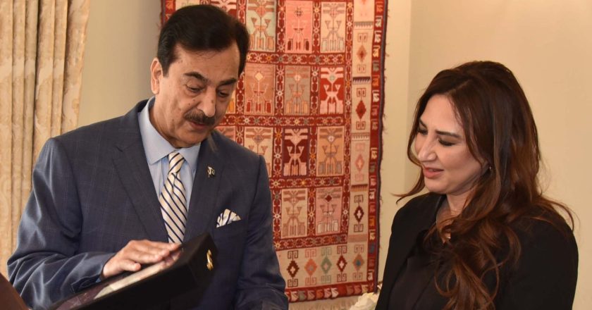 چیئرمین سینیٹ سید یوسف رضا گیلانی سے امریکی ناظم الامور نٹالی اے بیکر کی ملاقات