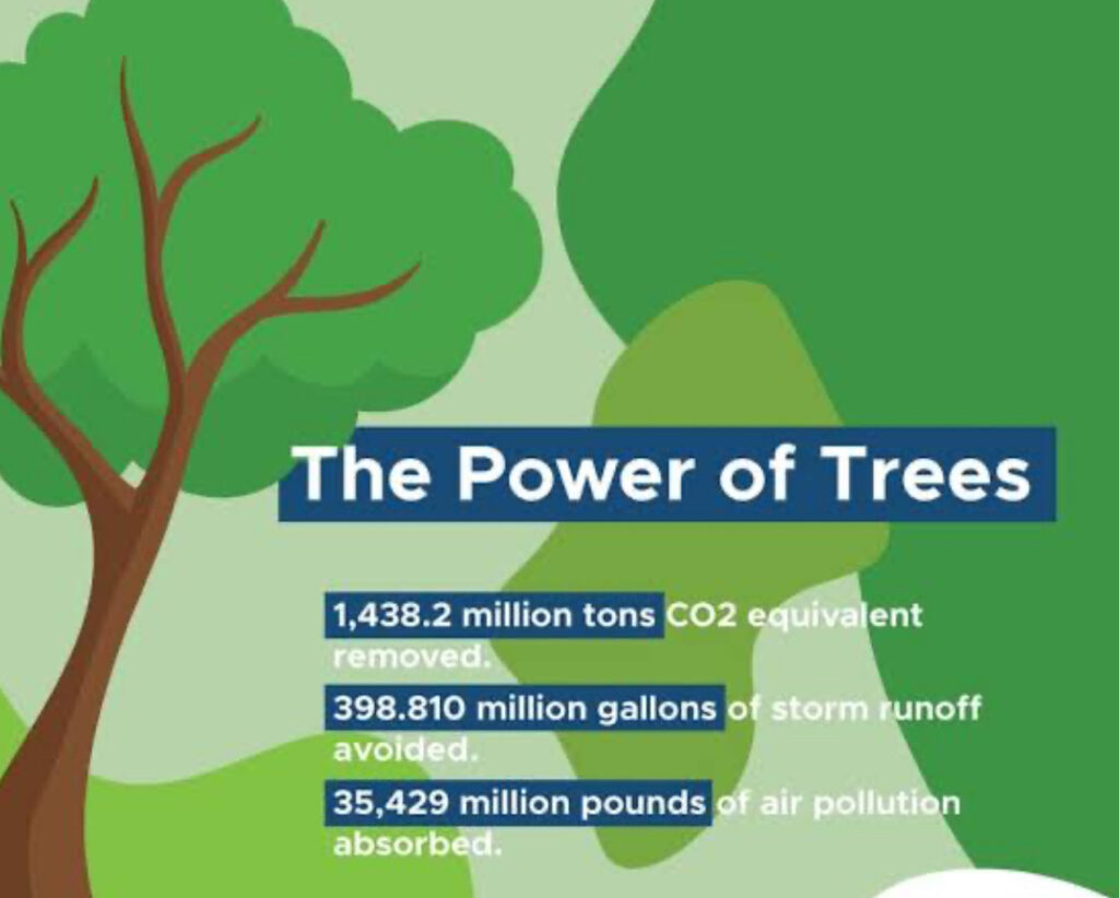 موسمیاتی تبدیلی کی وجہ سے دنیا تیزی سے بدل رہی ہے اور پاکستان ان ممالک میں شامل ہے