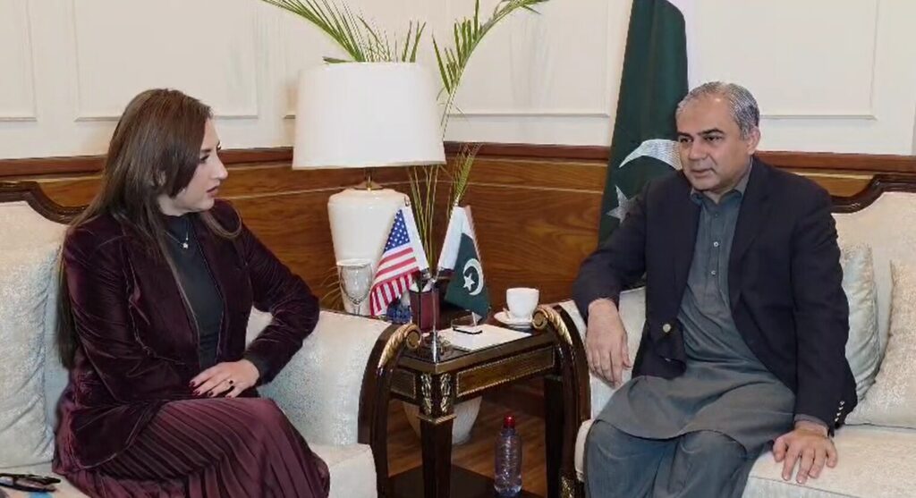 U.S. Chargé d’Affaires Calls on Interior Minister Mohsin Naqvi; Condemns Islamabad Blast